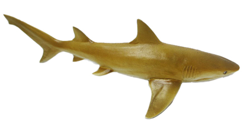 newly plastic cartoon animal toys for lemon shark newly plastic cartoon animal toys for lemon shark