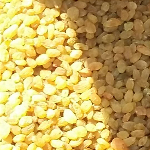 Thompson Seedless Raisin