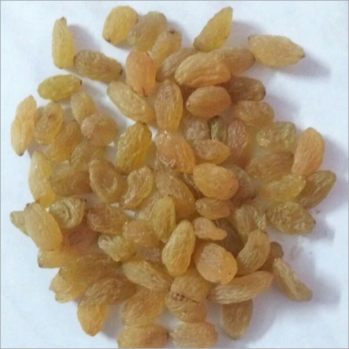 Special Golden Yellow Raisins
