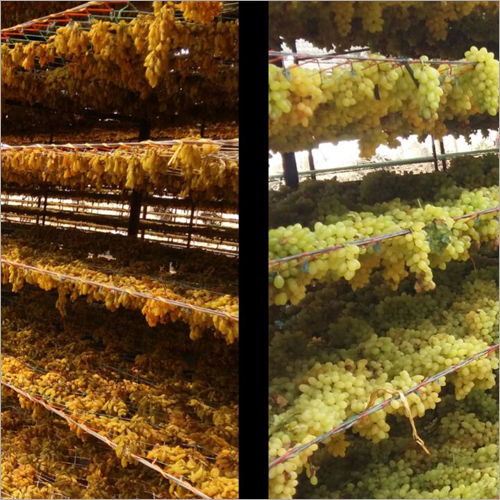 Grade A Standard Round Raisins