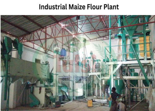 Maize Flour Plant