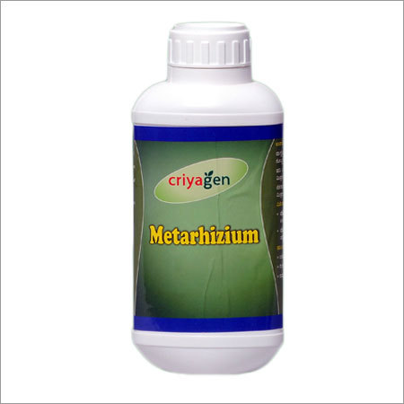 Metarhizium Biopesticide