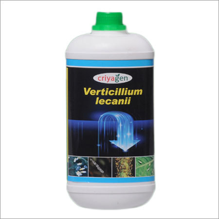Verticillium Lecanii Biopesticide