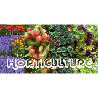 Horticulture Subsidy Consultant Service By SME CONSULTANT