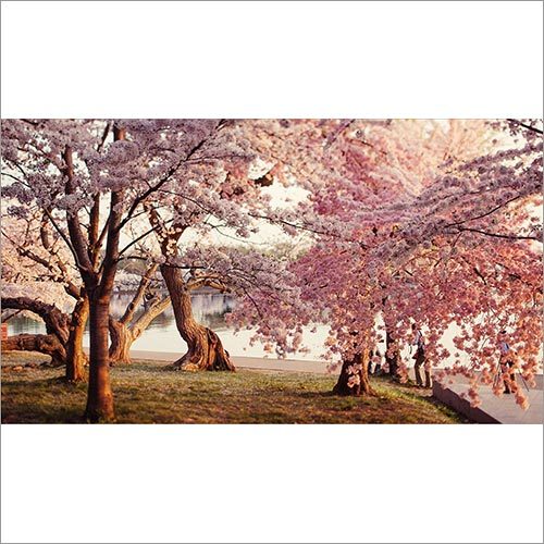 Contemporary Wallpaper