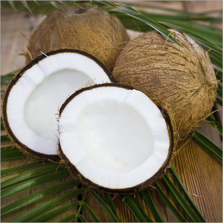 Mature Coconut