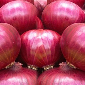 Red Onion