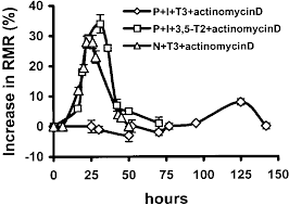 EUTHYROID 25