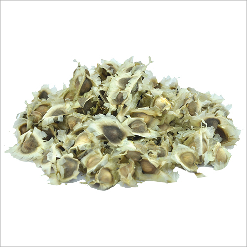 Moringa Seeds