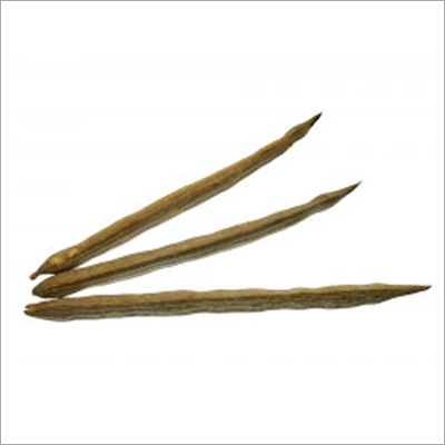 Moringa Pods