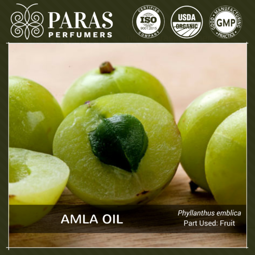 Amla Oil