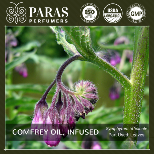 Comfrey Oil