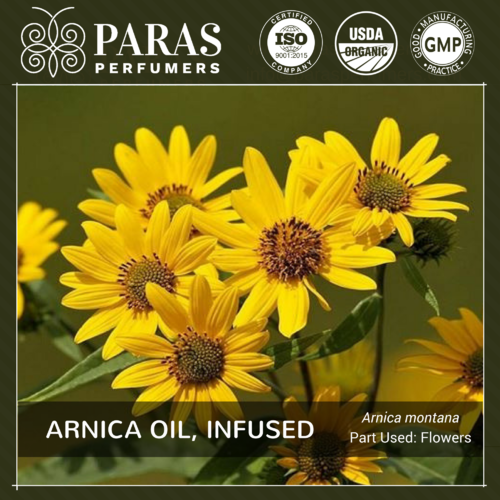 Arnica Oil