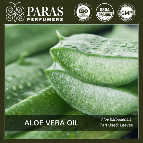 Aloe Vera Oil