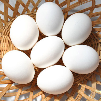 Duck Eggs - Whole Drust Meat, Frozen Processing Type for Culinary Applications and Gourmet Cooking