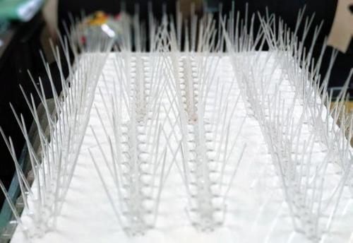 Window Ac Bird Spikes