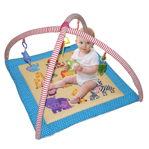 Baby Play Mat Age Group: 0-12 Months