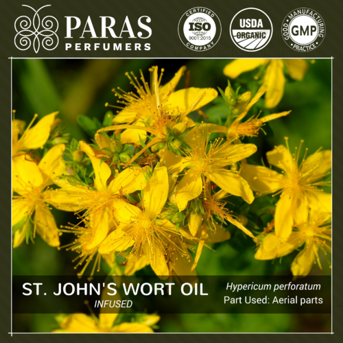St. John's Wort Oil