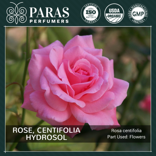 Rose Centifolia Hydrosol