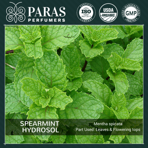 Spearmint Hydrosol