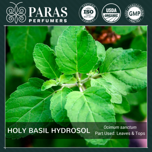 Holy Basil (Tulsi) Hydrosol