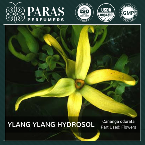 Ylang Ylang Hydrosol