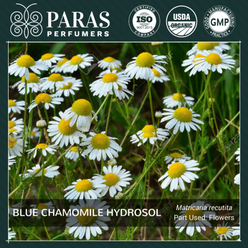 Blue Chamomile Hydrosol