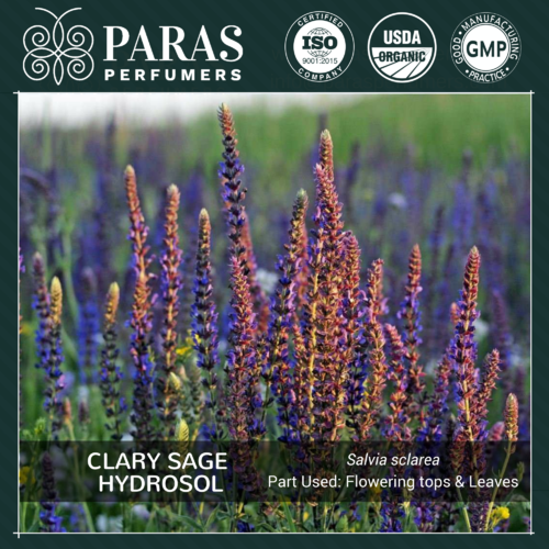 Clary Sage Hydrosol Floral Waters
