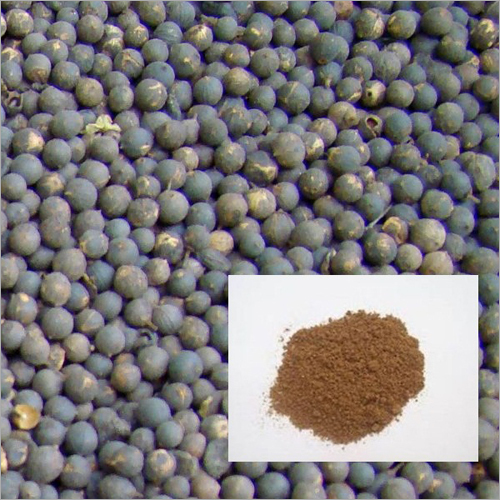 Vavding (Embelia Ribes) Powder