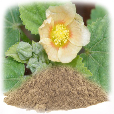 Bala Powder