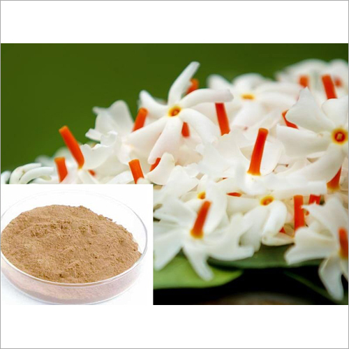 Harsingar Powder