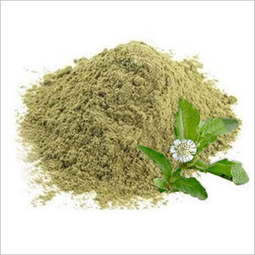 Bhringraj (Bhangro) Powder