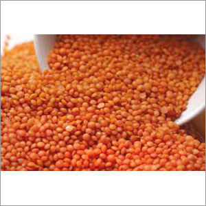 Masoor Dal