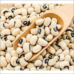 Black Eyed Pea By UJJWAL CITY GAS LIMITED