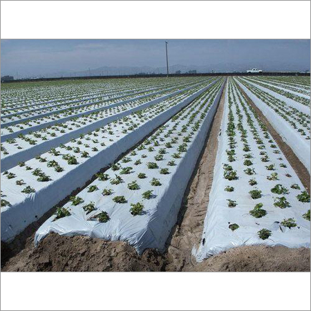 Plastic Mulch Film