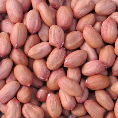 Groundnut Kernels