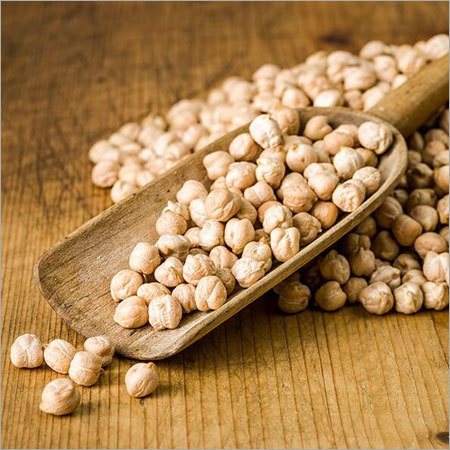 Chickpea