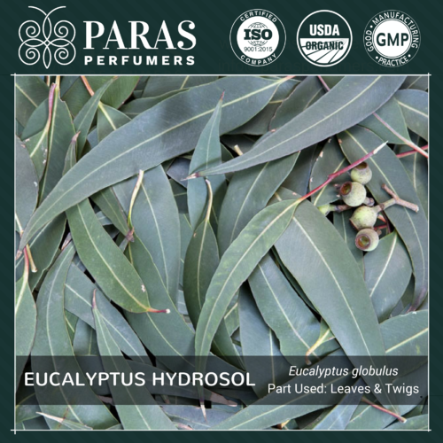 Eucalyptus Hydrosol