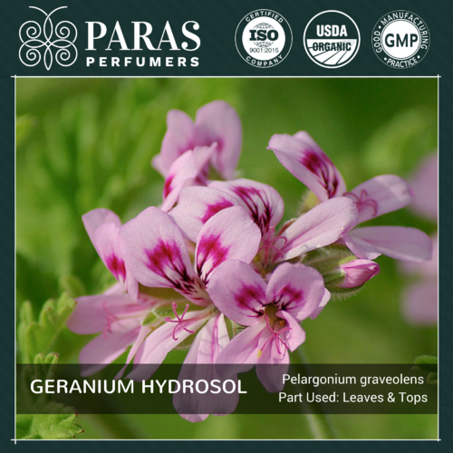 Geranium Hydrosol
