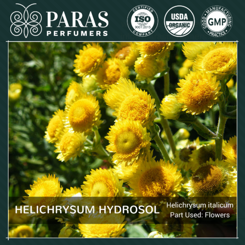 Helichrysum Hydrosol