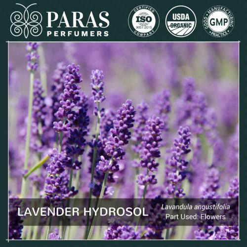 Lavender Hydrosol