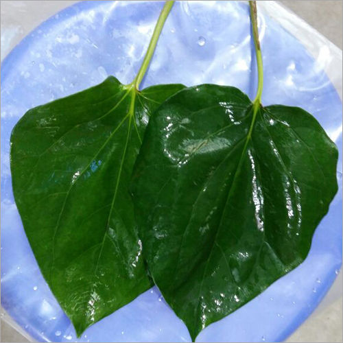 Khari betel Leaves