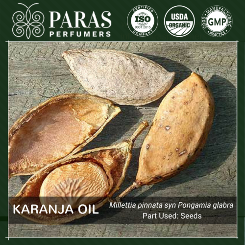 Karanja Seed Oil