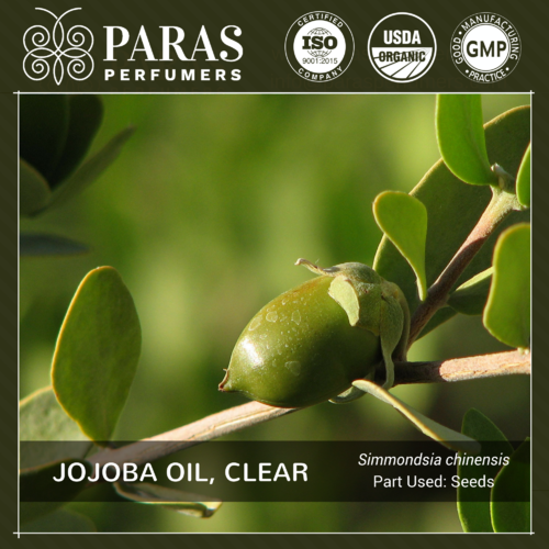 Clear Jojoba Oil