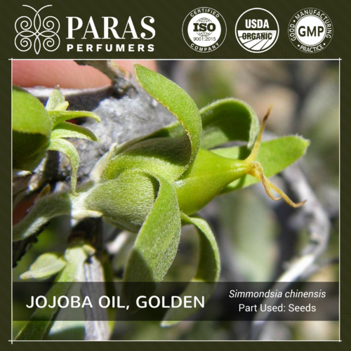 Golden Jojoba Oil