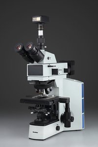 Trinocular Metallurgical Microscope