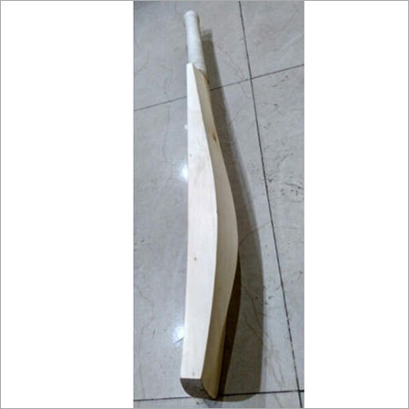 Kashmir Willow Cricket Bat For Beginner