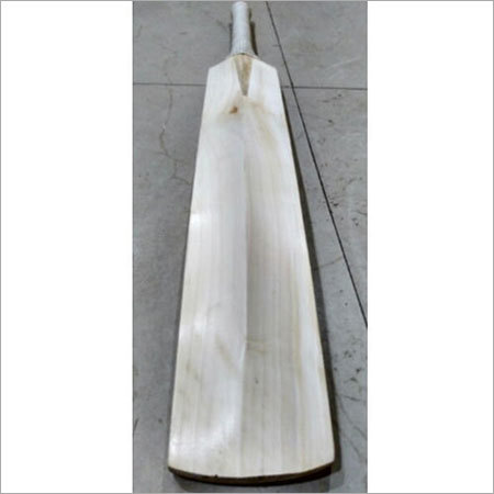 Plain English Willow Bat For Beginner