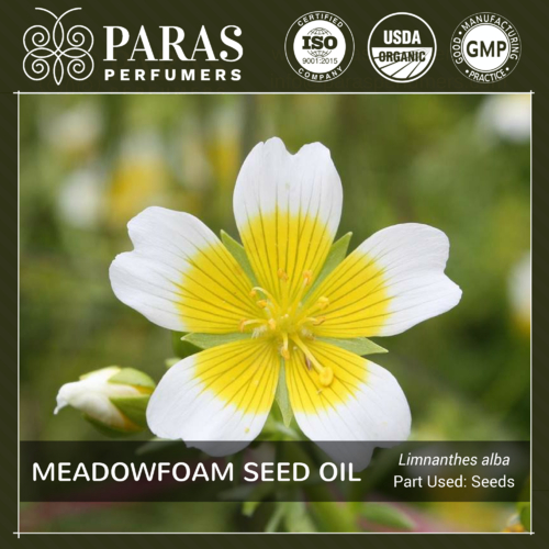 Meadowfoam Seed Oil