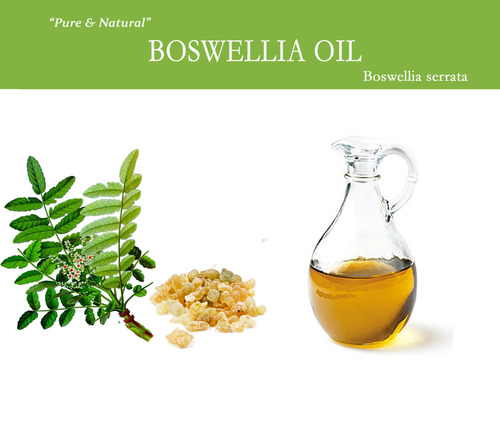 Boswellia Oil Raw Material: Resin